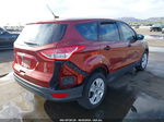 2016 Ford Escape S Оранжевый vin: 1FMCU0F72GUC60047