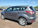 2014 Ford Escape S Gray vin: 1FMCU0F73EUA62428