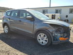 2014 Ford Escape S Gray vin: 1FMCU0F73EUA62428