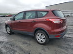 2014 Ford Escape S Red vin: 1FMCU0F74EUC34448