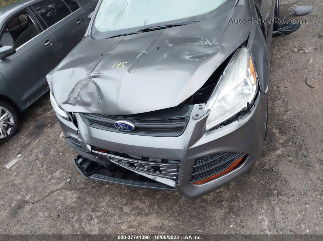 2014 Ford Escape S Gray vin: 1FMCU0F75EUA98167