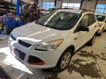 2015 Ford Escape S Unknown vin: 1FMCU0F75FUA81631