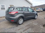 2015 Ford Escape S Gray vin: 1FMCU0F75FUB37731