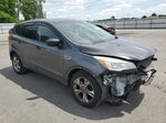 2015 Ford Escape S Charcoal vin: 1FMCU0F75FUB45957