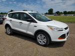 2015 Ford Escape S Белый vin: 1FMCU0F75FUC58470