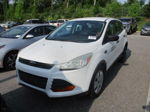 2014 Ford Escape S Unknown vin: 1FMCU0F76EUD76929