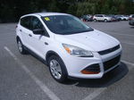 2014 Ford Escape S Unknown vin: 1FMCU0F76EUD76929