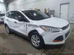 2014 Ford Escape S Белый vin: 1FMCU0F76EUD80334