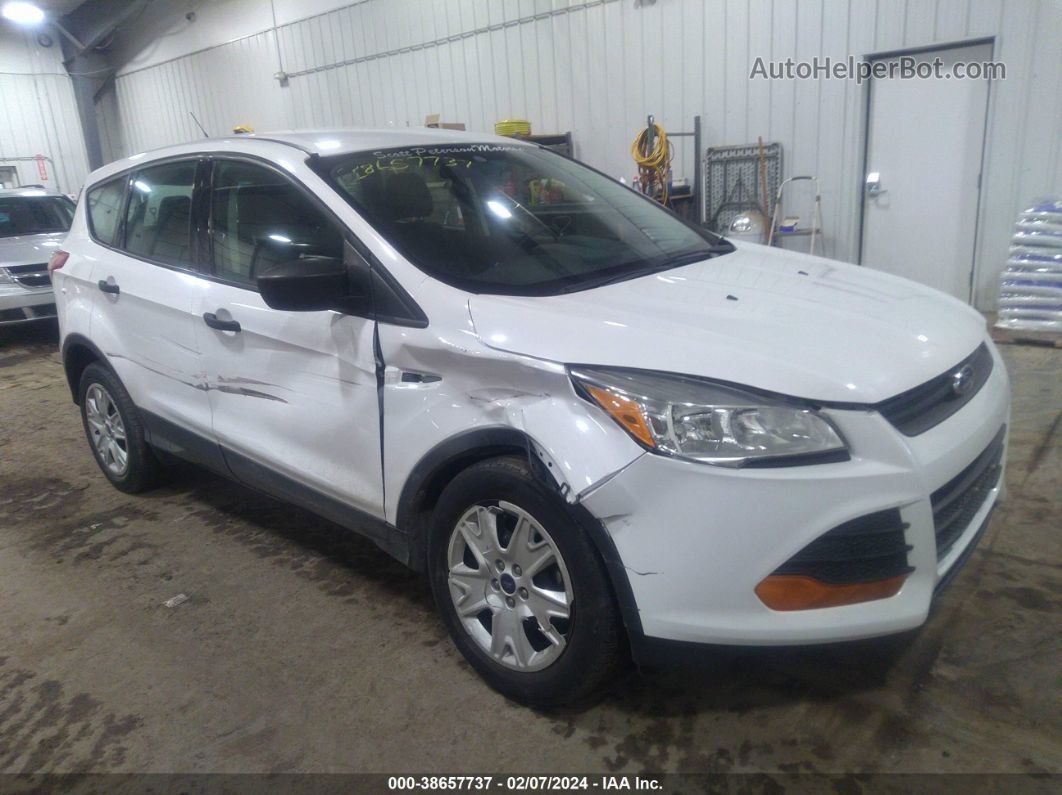 2014 Ford Escape S Белый vin: 1FMCU0F76EUD80334