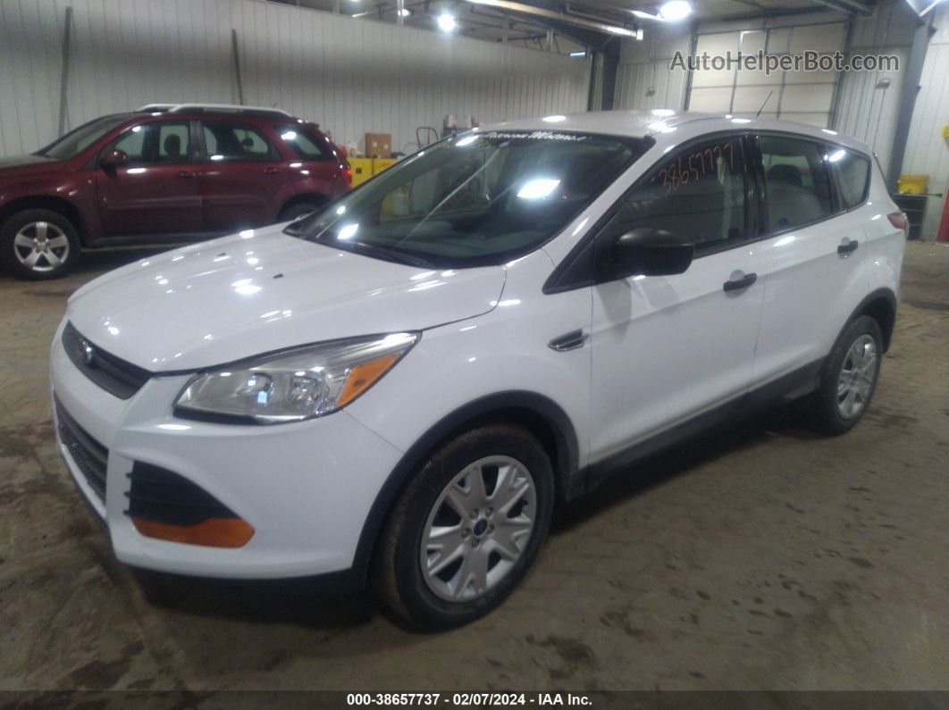 2014 Ford Escape S Белый vin: 1FMCU0F76EUD80334