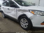 2014 Ford Escape S Белый vin: 1FMCU0F76EUD80334