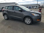 2015 Ford Escape S Gray vin: 1FMCU0F78FUB10264