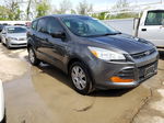 2016 Ford Escape S Gray vin: 1FMCU0F78GUA66803