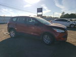 2014 Ford Escape S Красный vin: 1FMCU0F79EUB22888