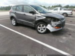 2014 Ford Escape S Серый vin: 1FMCU0F79EUE37318