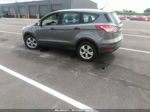 2014 Ford Escape S Gray vin: 1FMCU0F79EUE37318