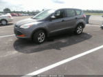 2014 Ford Escape S Серый vin: 1FMCU0F79EUE37318