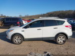 2015 Ford Escape S White vin: 1FMCU0F79FUC39176