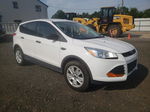 2016 Ford Escape S White vin: 1FMCU0F79GUB60608