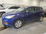 2014 Ford Escape S Blue vin: 1FMCU0F7XEUA11671