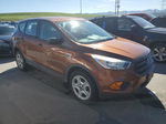 2017 Ford Escape S Brown vin: 1FMCU0F7XHUE23867