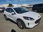 2021 Ford Escape Se White vin: 1FMCU0G62MUA41848