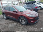 2021 Ford Escape Se Burgundy vin: 1FMCU0G63MUA49473