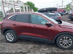 2021 Ford Escape Se Burgundy vin: 1FMCU0G63MUA49473