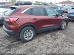 2021 Ford Escape Se Burgundy vin: 1FMCU0G63MUA49473