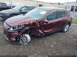 2021 Ford Escape Se Burgundy vin: 1FMCU0G63MUA49473