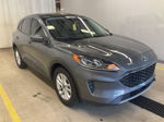 2021 Ford Escape Se vin: 1FMCU0G63MUA90282