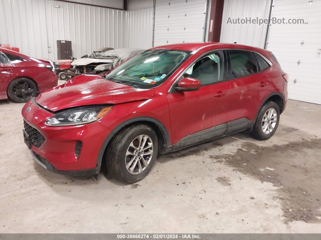 2021 Ford Escape Se Red vin: 1FMCU0G65MUA45019