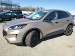 2021 Ford Escape Se Gold vin: 1FMCU0G66MUA08688