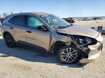 2021 Ford Escape Se Gold vin: 1FMCU0G66MUA08688