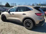 2021 Ford Escape Se Золотой vin: 1FMCU0G66MUA08688