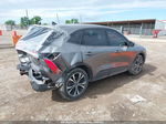 2021 Ford Escape Se Gray vin: 1FMCU0G67MUA62680