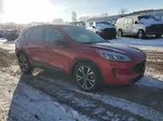 2021 Ford Escape Se Red vin: 1FMCU0G67MUA94139