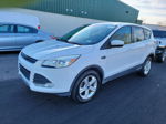 2015 Ford Escape Se Unknown vin: 1FMCU0G70FUA48132