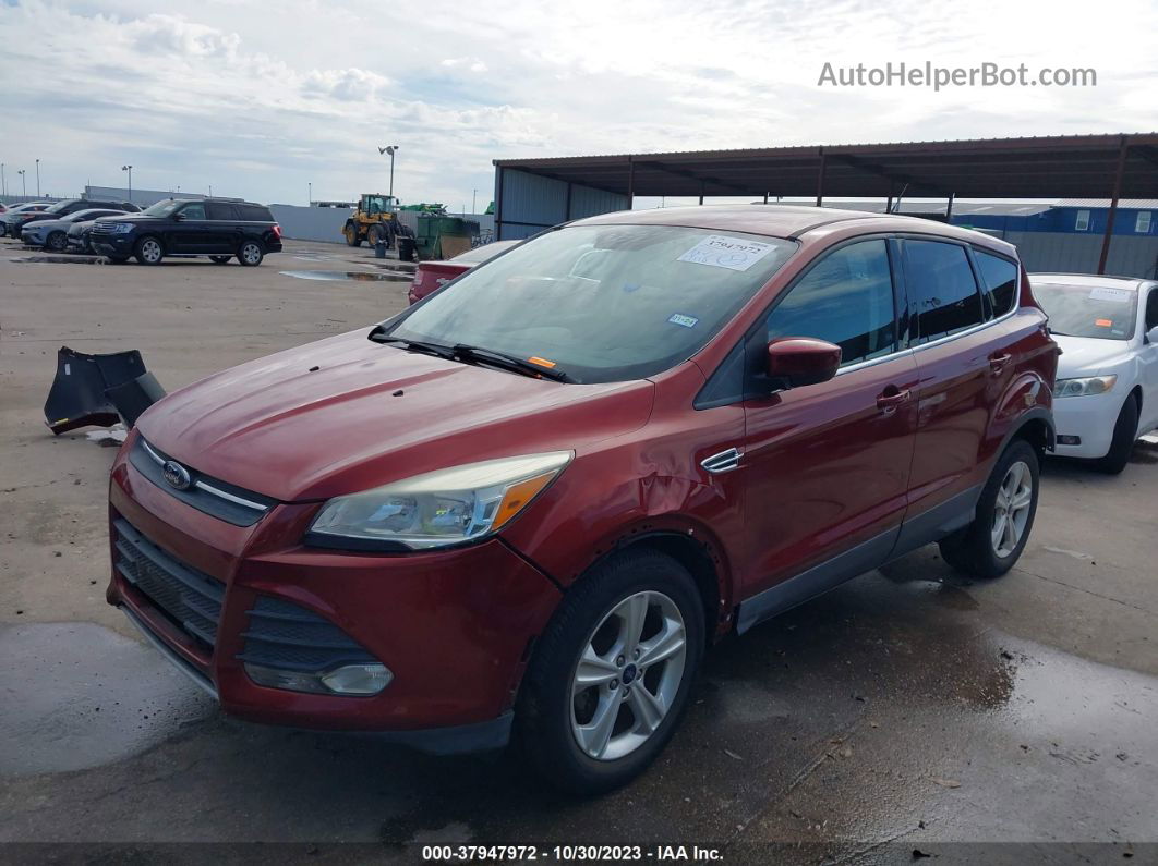 2015 Ford Escape Se Бордовый vin: 1FMCU0G70FUA67117