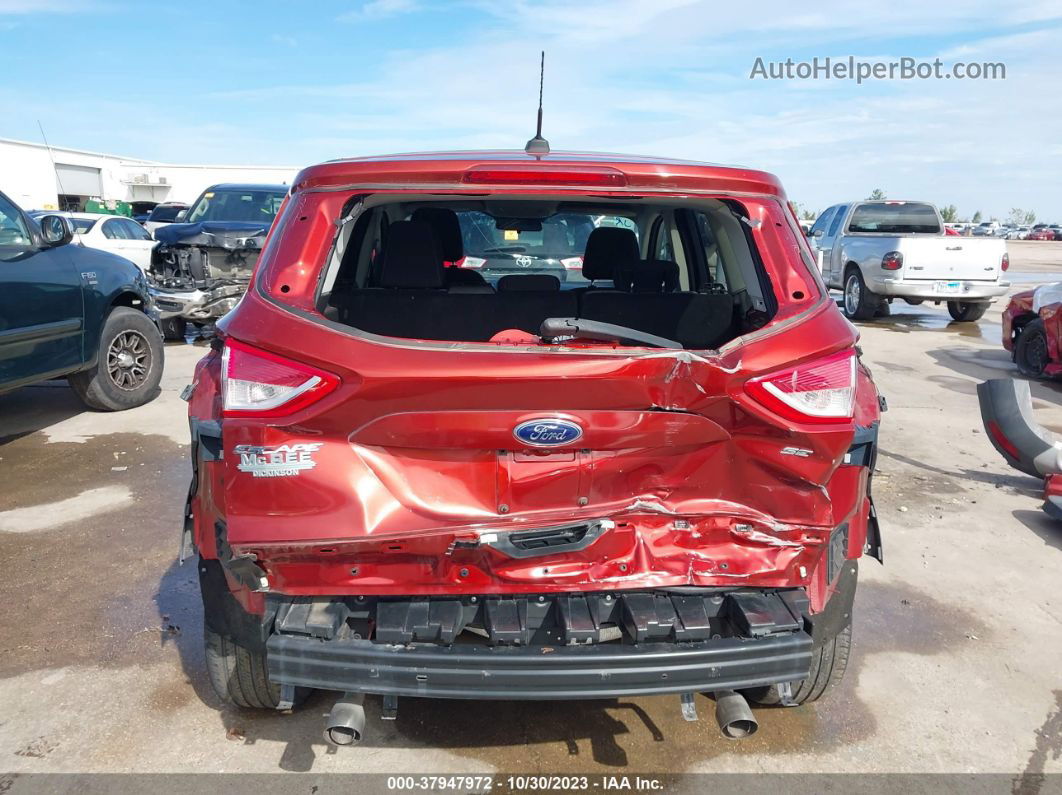 2015 Ford Escape Se Burgundy vin: 1FMCU0G70FUA67117