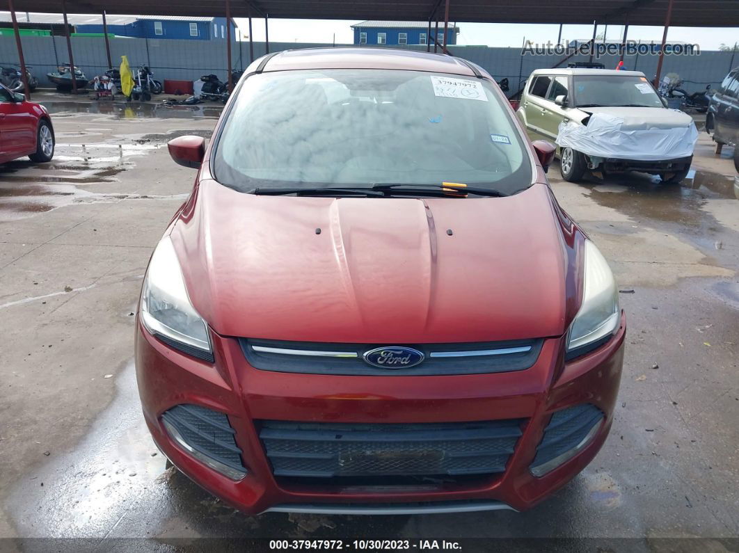 2015 Ford Escape Se Бордовый vin: 1FMCU0G70FUA67117