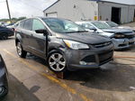 2015 Ford Escape Se Gray vin: 1FMCU0G70FUC11250