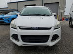 2015 Ford Escape Se White vin: 1FMCU0G71FUA19173