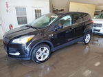 2015 Ford Escape Se Black vin: 1FMCU0G71FUC60280