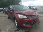 2016 Ford Escape Se Red vin: 1FMCU0G72GUA27896