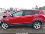 2016 Ford Escape Se Красный vin: 1FMCU0G72GUA50028