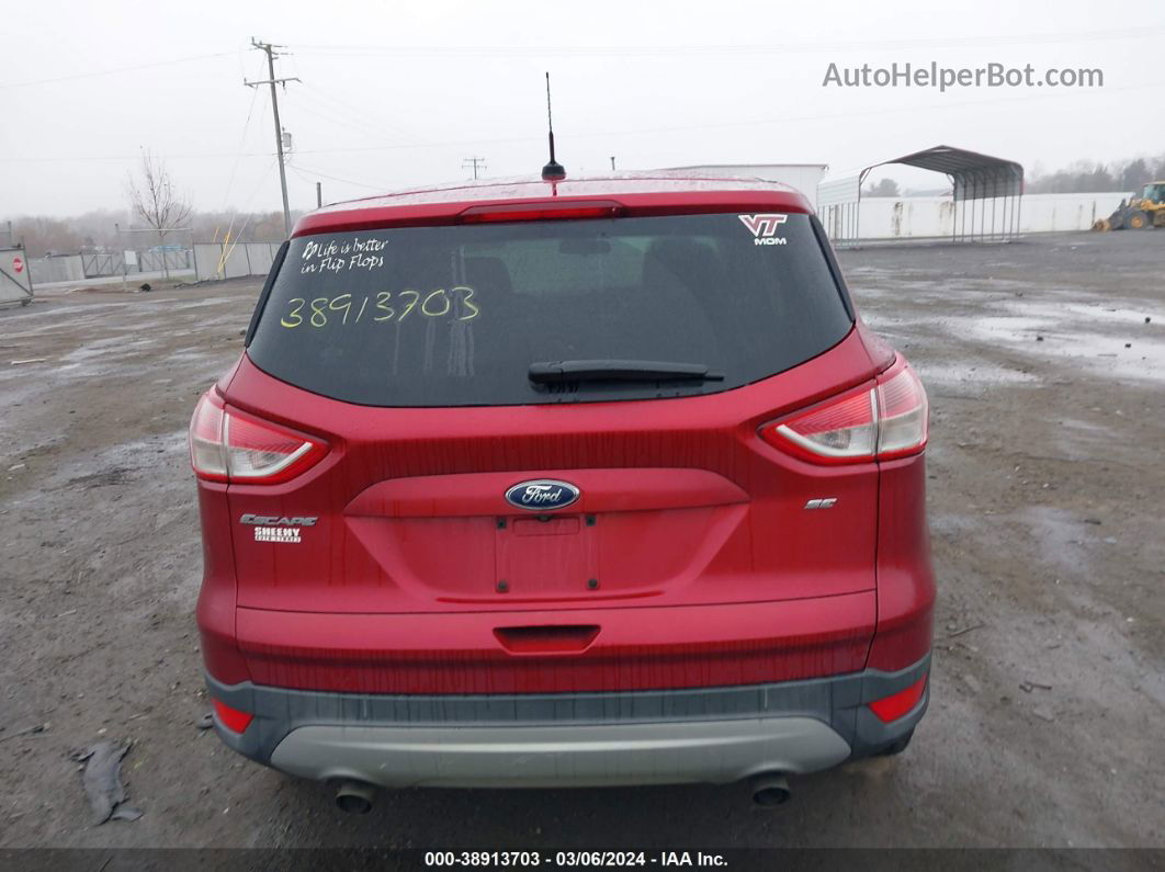 2016 Ford Escape Se Красный vin: 1FMCU0G72GUA50028