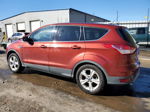 2016 Ford Escape Se Темно-бордовый vin: 1FMCU0G74GUA59538