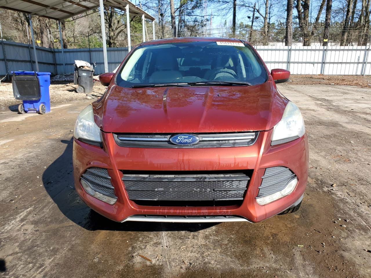 2016 Ford Escape Se Темно-бордовый vin: 1FMCU0G74GUA59538