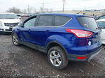 2015 Ford Escape Se Синий vin: 1FMCU0G75FUC75901